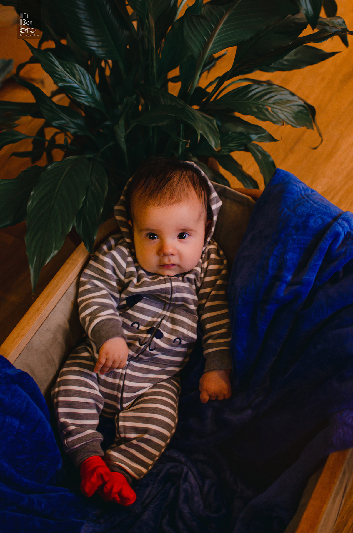 ensaio bebê; ensaio infantil; 3 meses; liam; ensaio em casa; acompanhamento mensal; acompanhamento infantil; dois irmãos; rs.