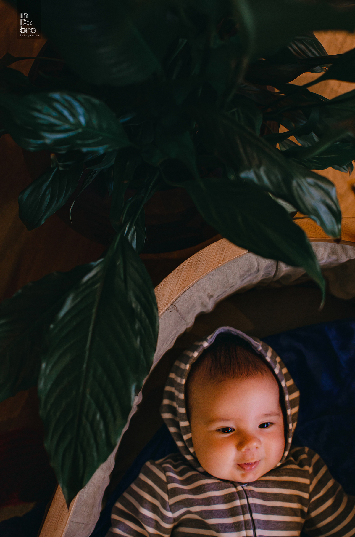 ensaio bebê; ensaio infantil; 3 meses; liam; ensaio em casa; acompanhamento mensal; acompanhamento infantil; dois irmãos; rs.