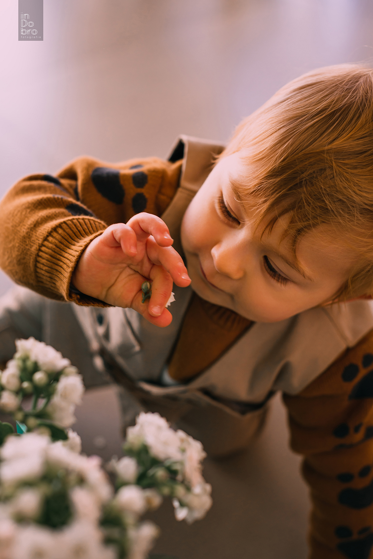 Aniversário; aniversário infantil; festa infantil; primeiro aninho; festa da floresta; um ano; aniversário de um aninho; festa em casa.