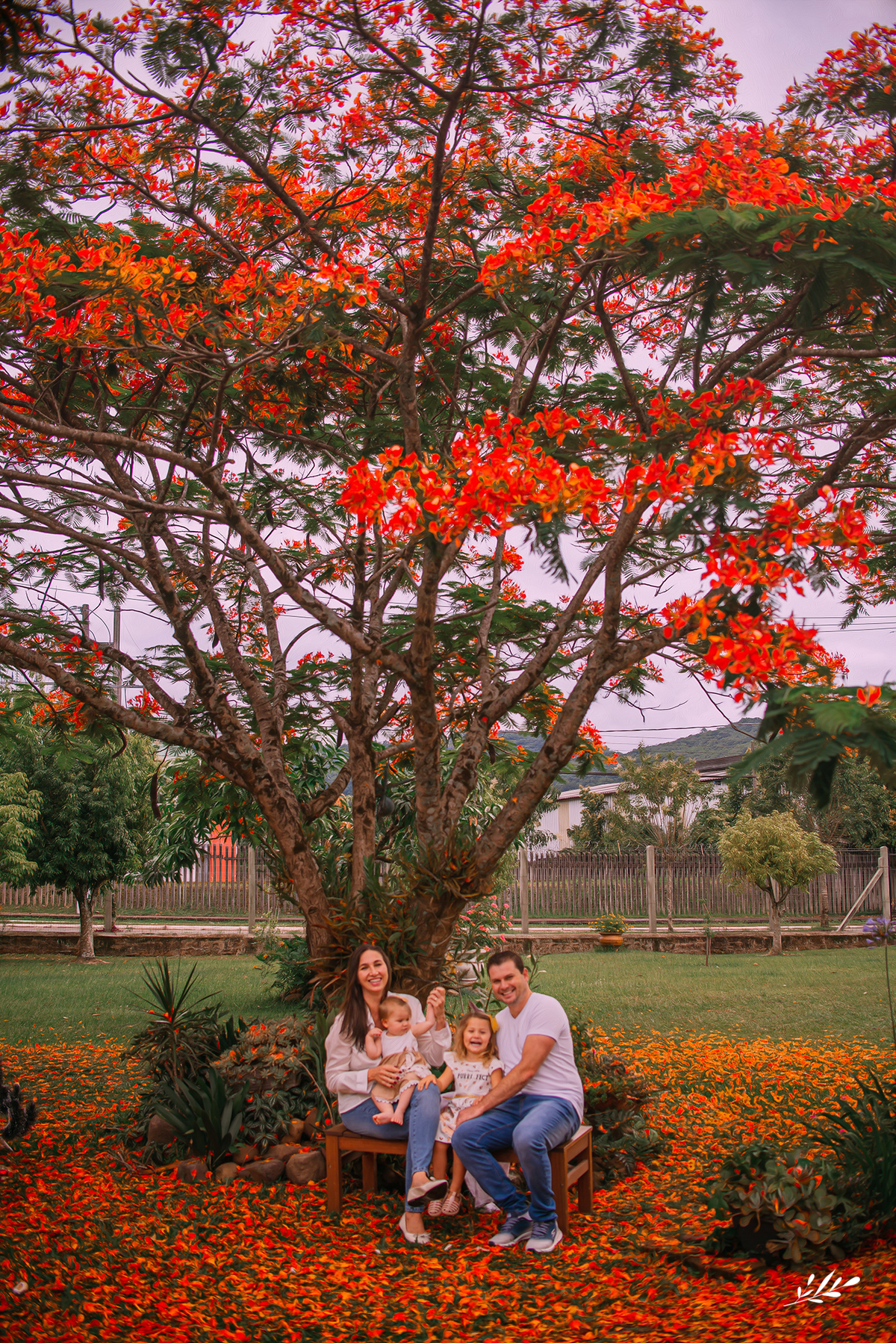 ensaio família; ensaio natal; ensaio infantil; acompanhamento mensal; acompanhamento bebê; ensaio 10 meses; ensaio em casa; ensaio em rolante; rs.