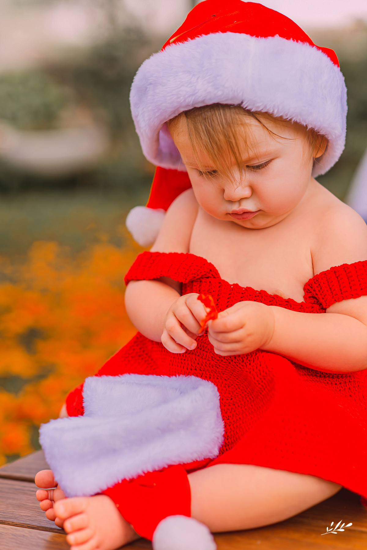 ensaio família; ensaio natal; ensaio infantil; acompanhamento mensal; acompanhamento bebê; ensaio 10 meses; ensaio em casa; ensaio em rolante; rs.