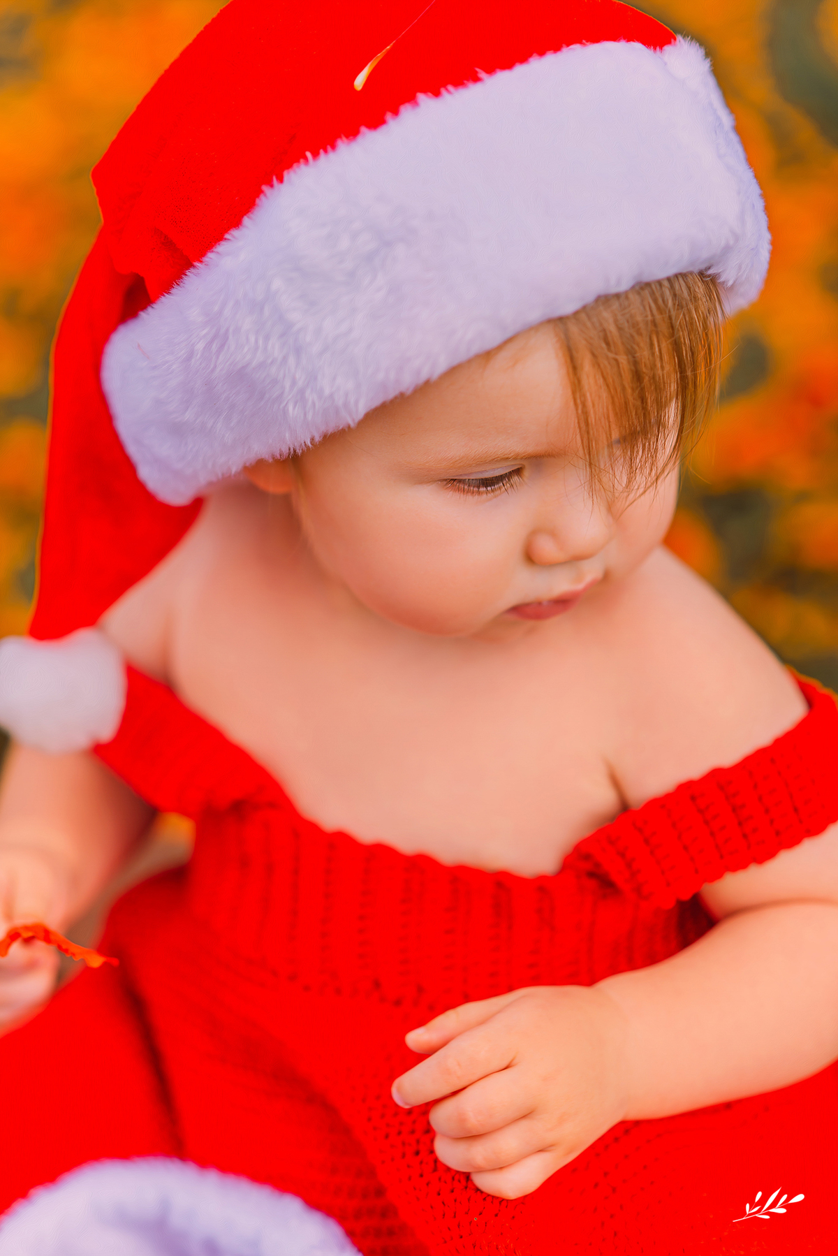 ensaio família; ensaio natal; ensaio infantil; acompanhamento mensal; acompanhamento bebê; ensaio 10 meses; ensaio em casa; ensaio em rolante; rs.