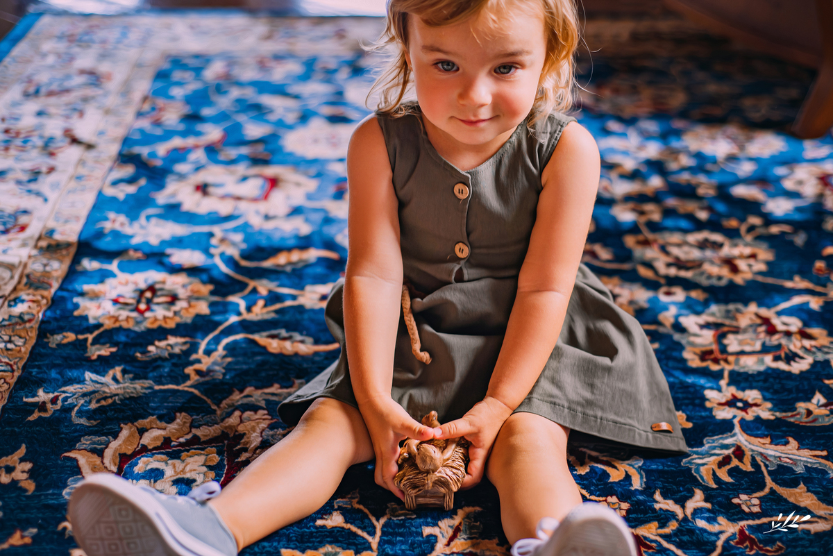 ensaio infantil; ensaio de dois anos; 2 anos; ensaio em casa.; ensaio de natal; ensaio em rolante; rs; ensaio família.