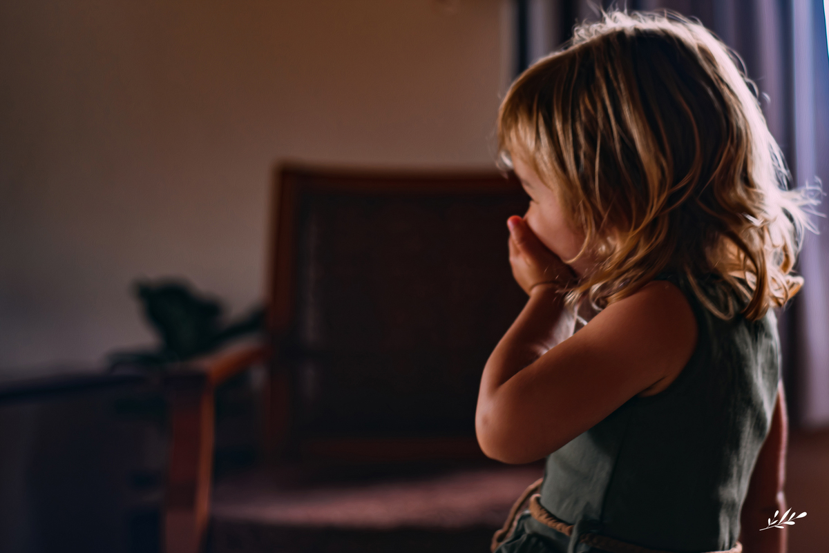 ensaio infantil; ensaio de dois anos; 2 anos; ensaio em casa.; ensaio de natal; ensaio em rolante; rs; ensaio família.
