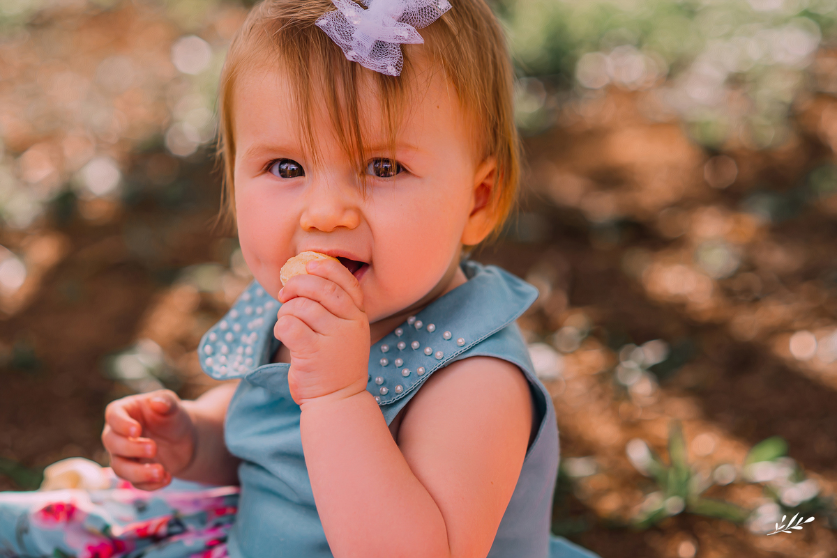 ensaio família; ensaio interior; ensaio em casa; ensaio infantil; ensaio ar livre; ensaio externo; ensaio em rolante; rs.