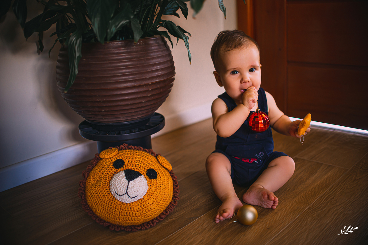 ensaio infantil; acompanhamento mensal; acompanhamento infantil; ensaio bebê; ensaio em casa; ensaio em rolante; rs.