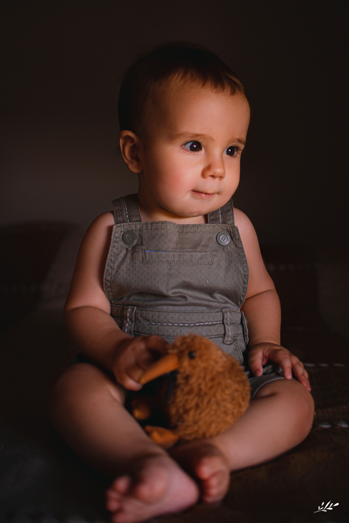 ensaio infantil; ensaio bebê; acompanhamento mensal; acompanhamento mensal do bebê; ensaio em casa; ensaio 9 meses; ensaio irmãos.