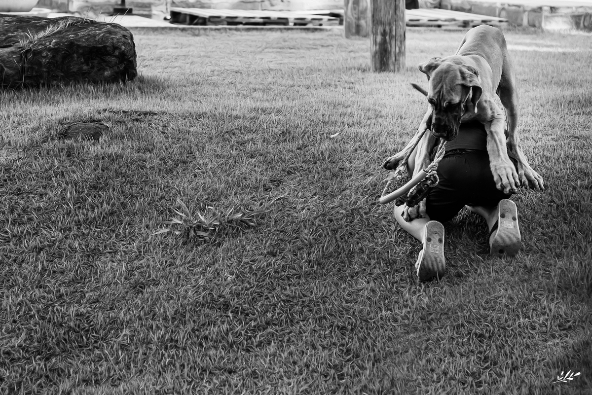 casamento; casamento íntimo; casamento intimista; casamento ar livre; casamento luterano; mini casamento; mini wedding; casamento em dois irmãos rs; espaço landgut.