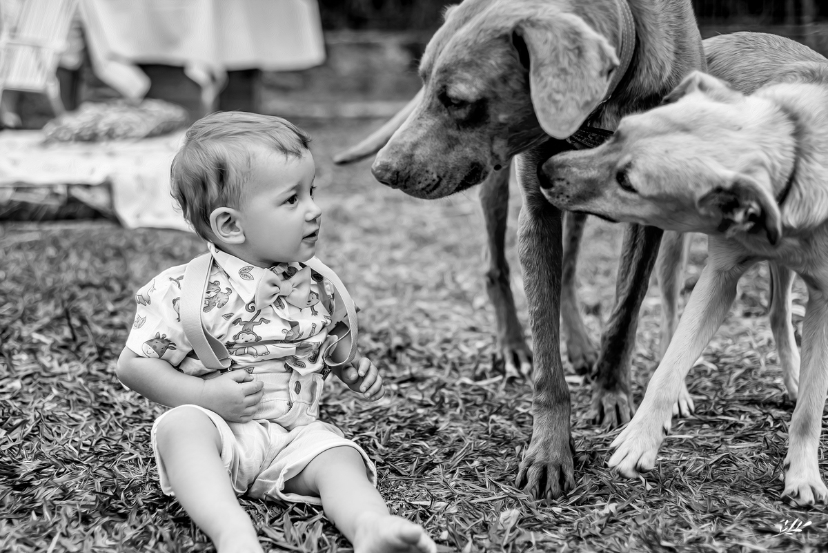 Ensaio infantil; ensaio em casa; ensaio criança; smash the cake; ensaio um ano; ensaio um aninho; festa na selva; ensaio de família.