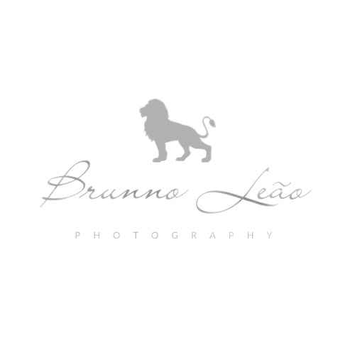 Logotipo de Brunno Leão