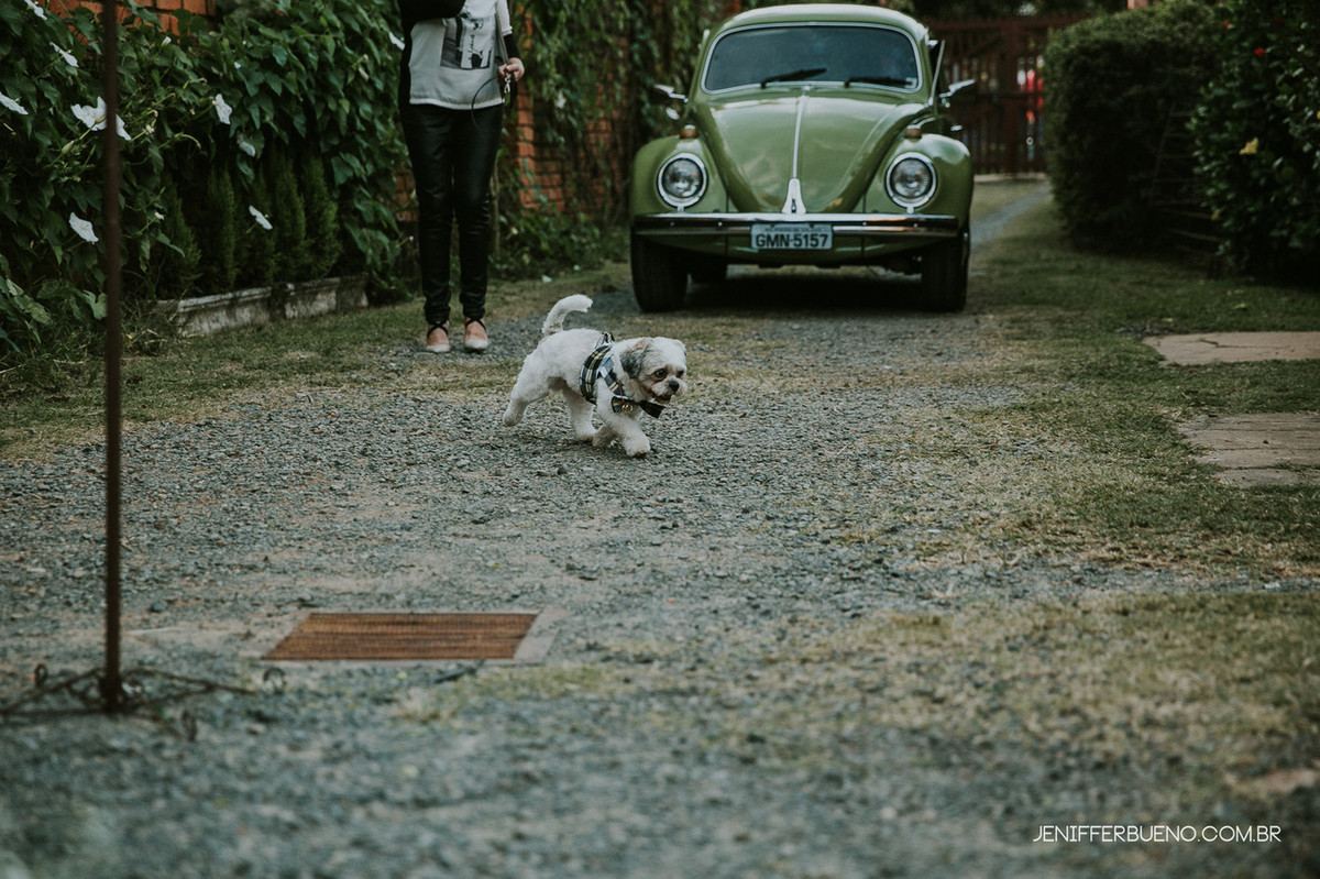 Fernanda e Adriano - mini wedding - Poços de Caldas - MG