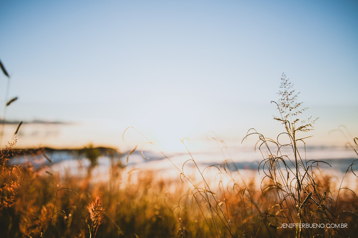 Ana Ligia e Flávio - ensaio - Poços de Caldas
