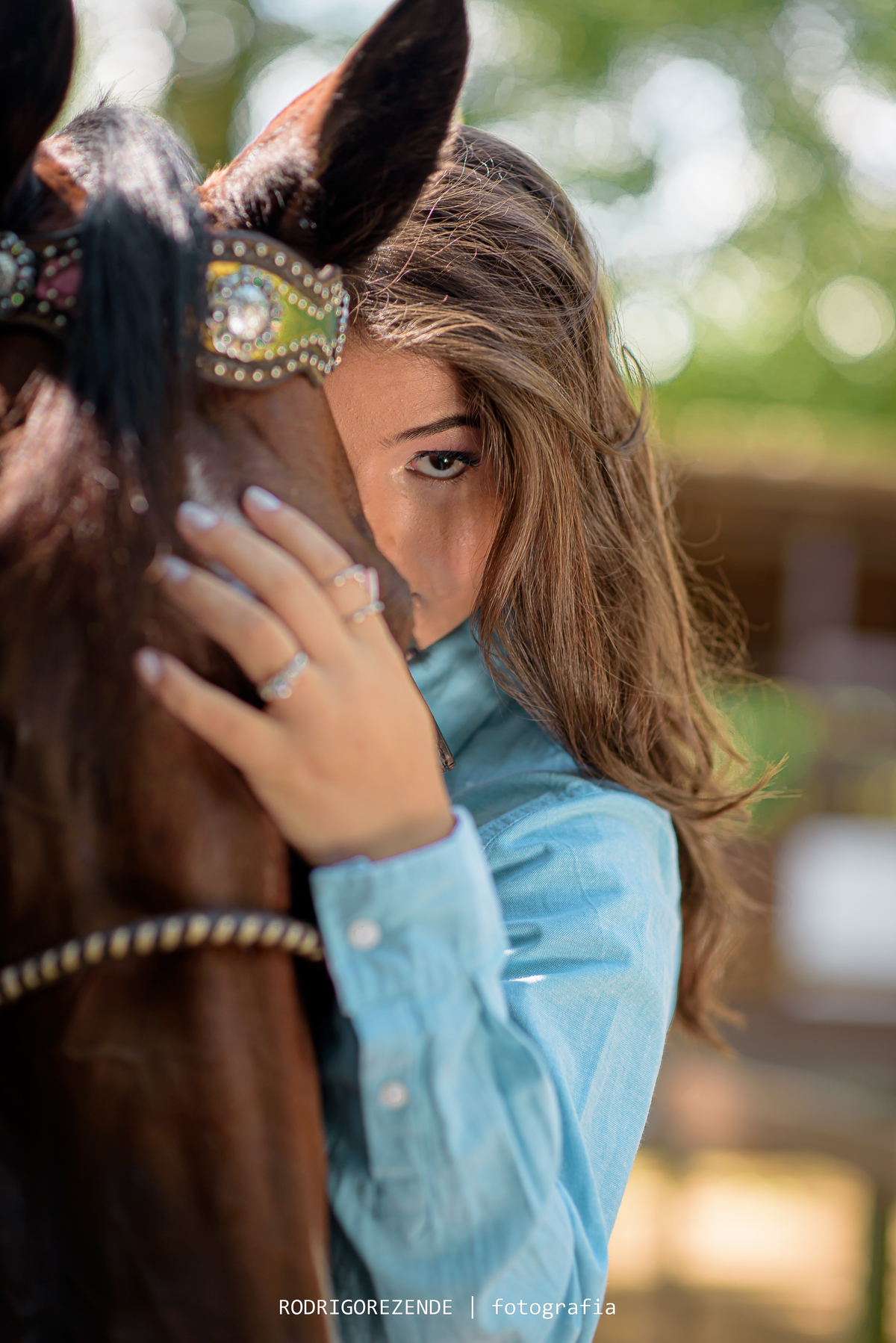 Cavalo, haras, ensaio fotográfico, olhar