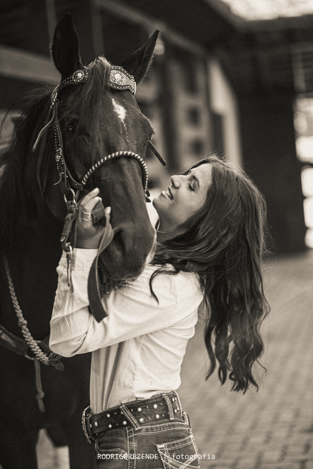 Cavalo, haras, ensaio fotográfico, preto e branco, foto em preto e branco 