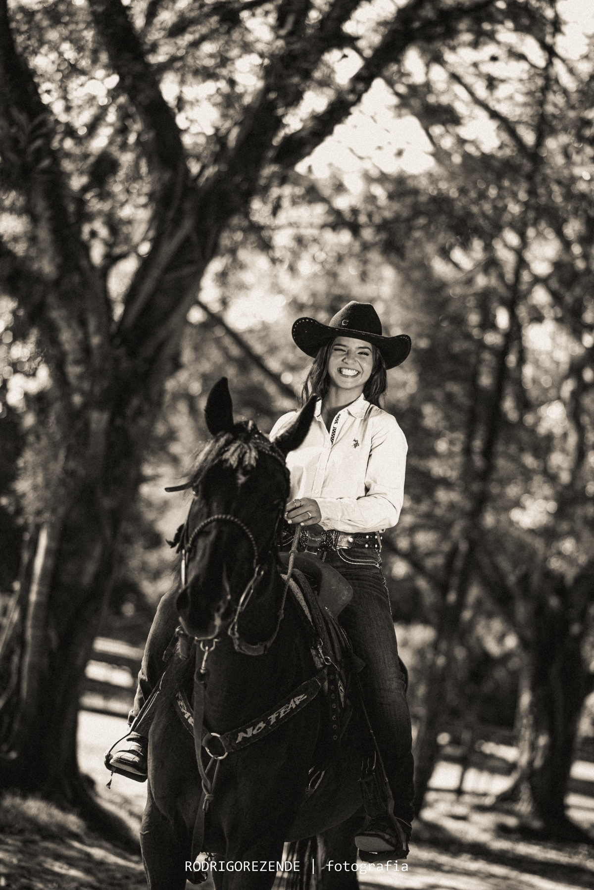 Cavalo, haras, ensaio fotográfico