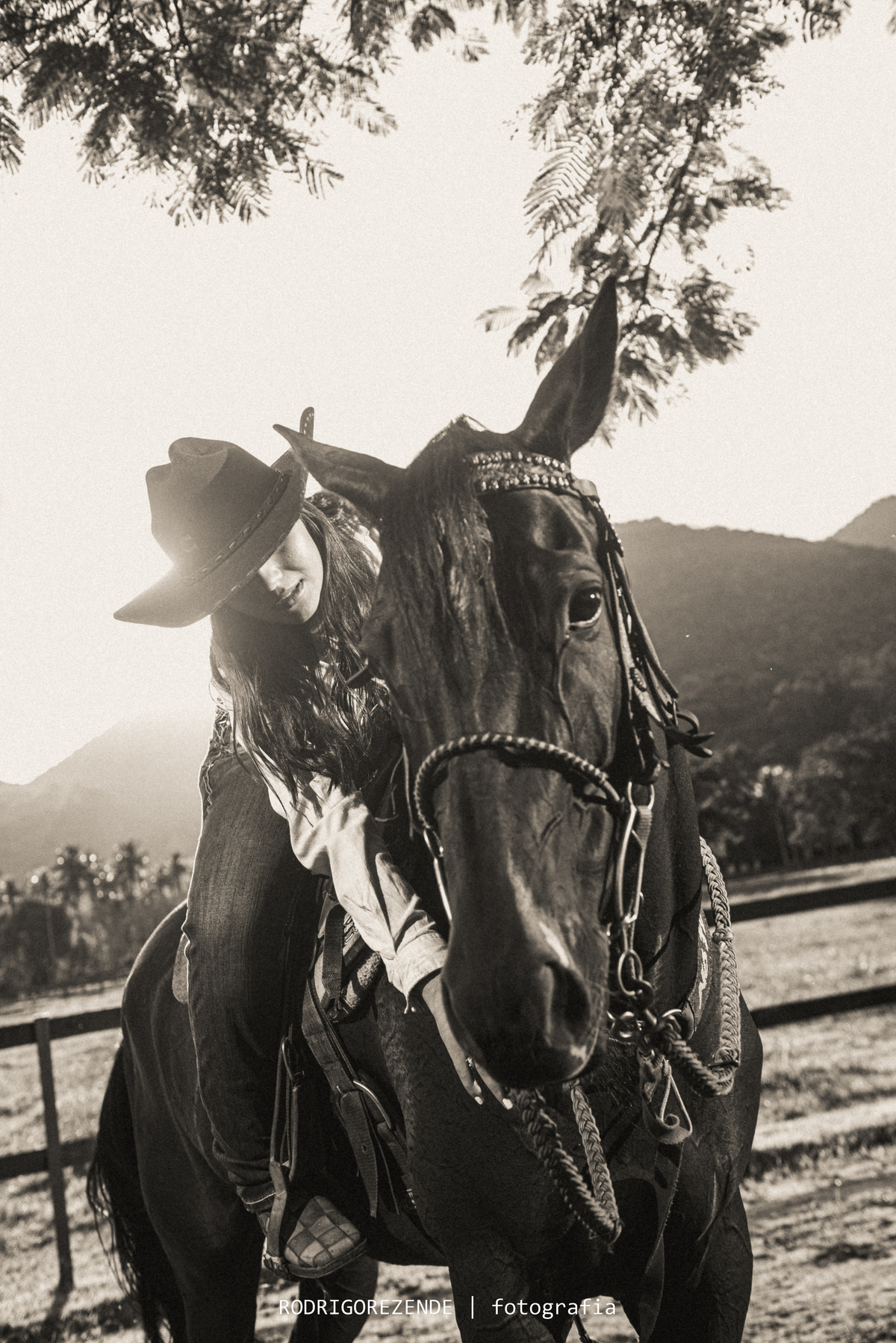Cavalo, haras, ensaio fotográfico