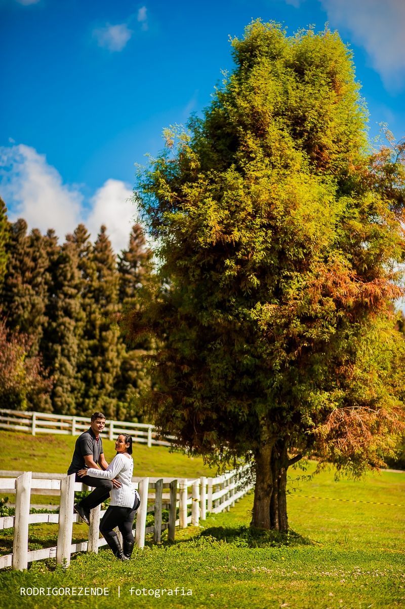 ensaio, pre wedding, esession, campos do jordao, são paulo