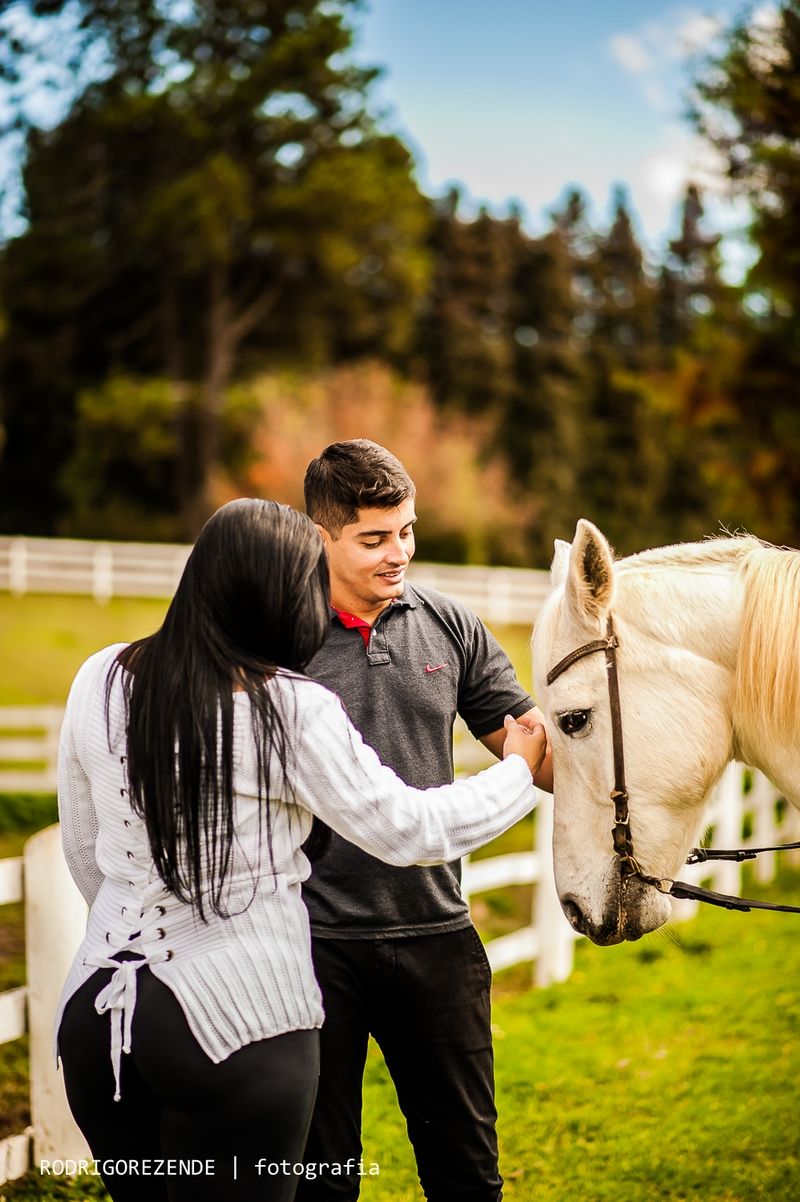 ensaio, pre wedding, esession, campos do jordao, são paulo, fotos cavalos, haras