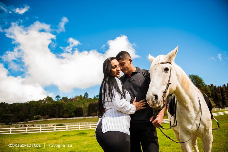 ensaio, pre wedding, esession, campos do jordao, são paulo, fotos cavalos, haras