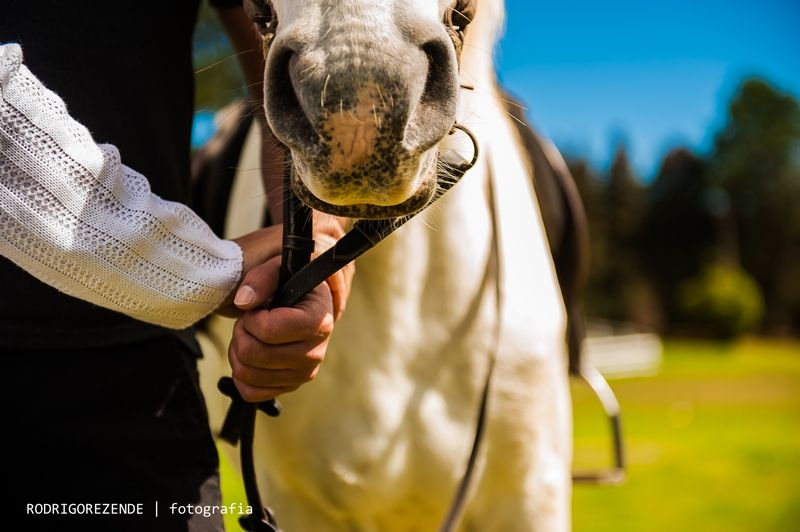 ensaio, pre wedding, esession, campos do jordao, são paulo, fotos cavalos, haras