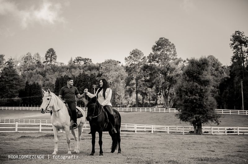 ensaio, pre wedding, esession, campos do jordao, são paulo, fotos cavalos, haras