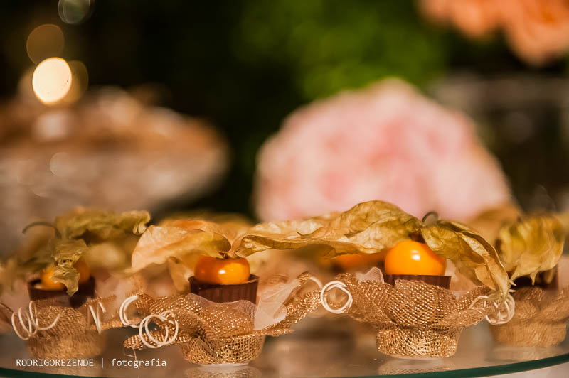 casa de festa, garden party, decoração