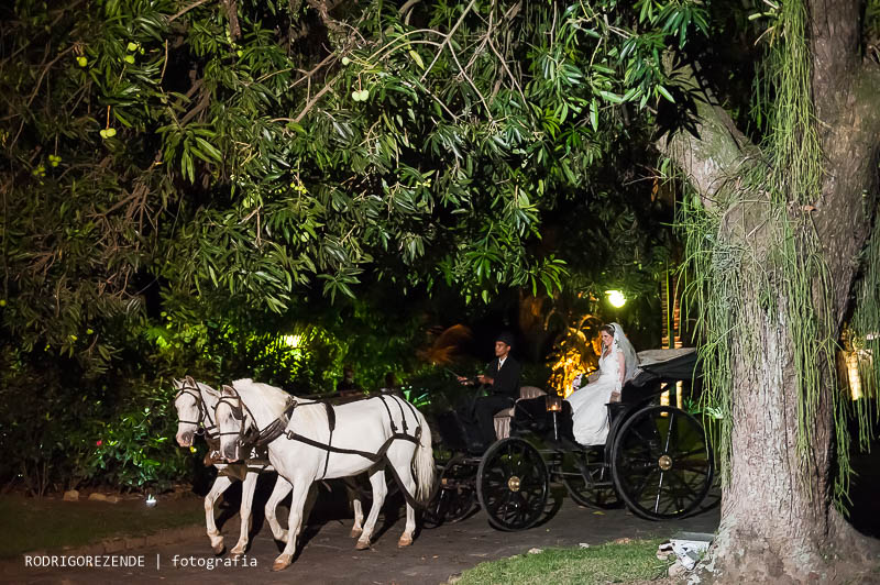 cerimônia, garden party