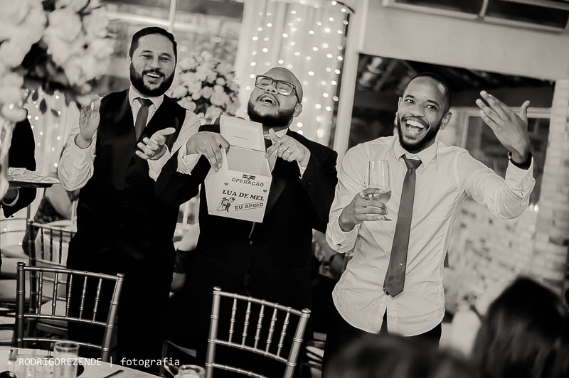 festa, recepção, sitio rei do gado