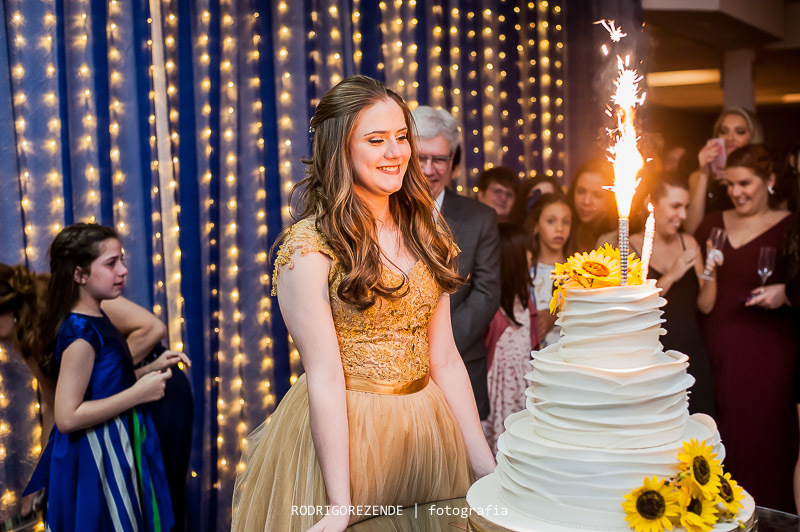 cerimonial,  espazio itanhangá, debutante, rodrigo rezende fotografia