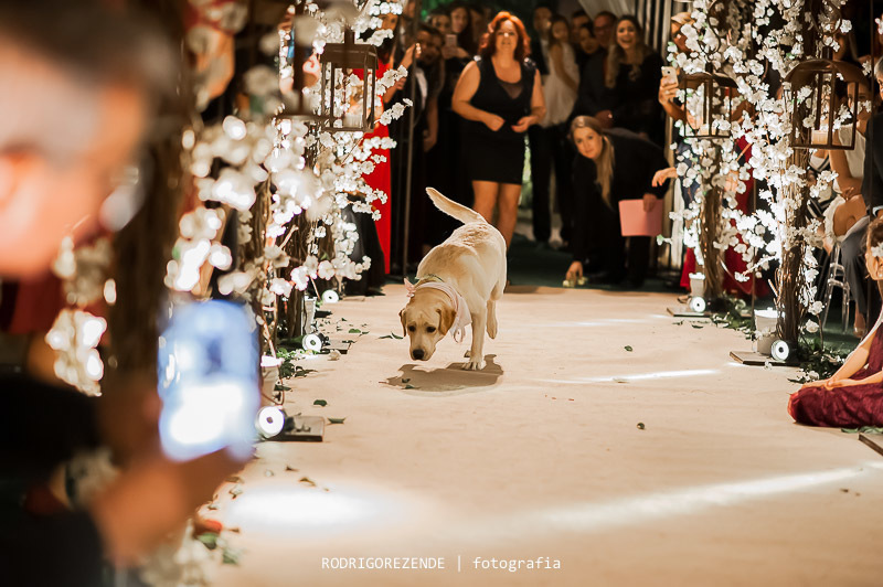 casamento, cerimônia,  green house buffet, rodrigo rezende fotografia