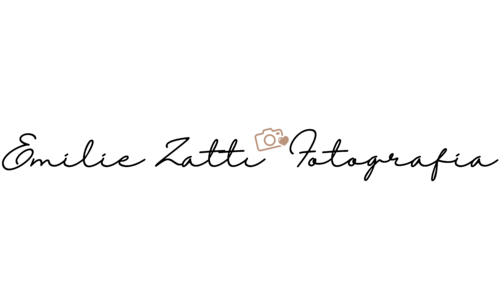 Logotipo de EMILIE ZATTI