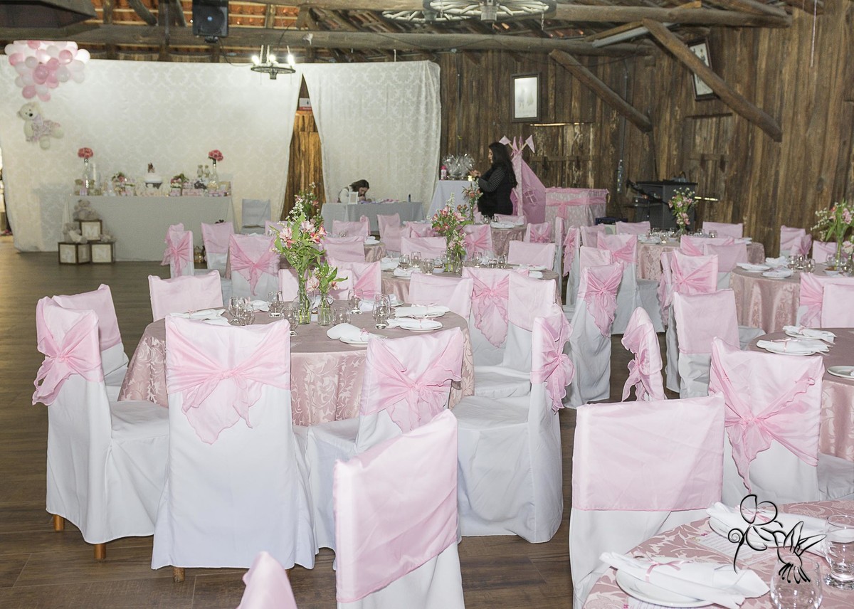 by Eli Matos, fotografa a decoração do chá de fraldas da Cecilia, tudo em rosa