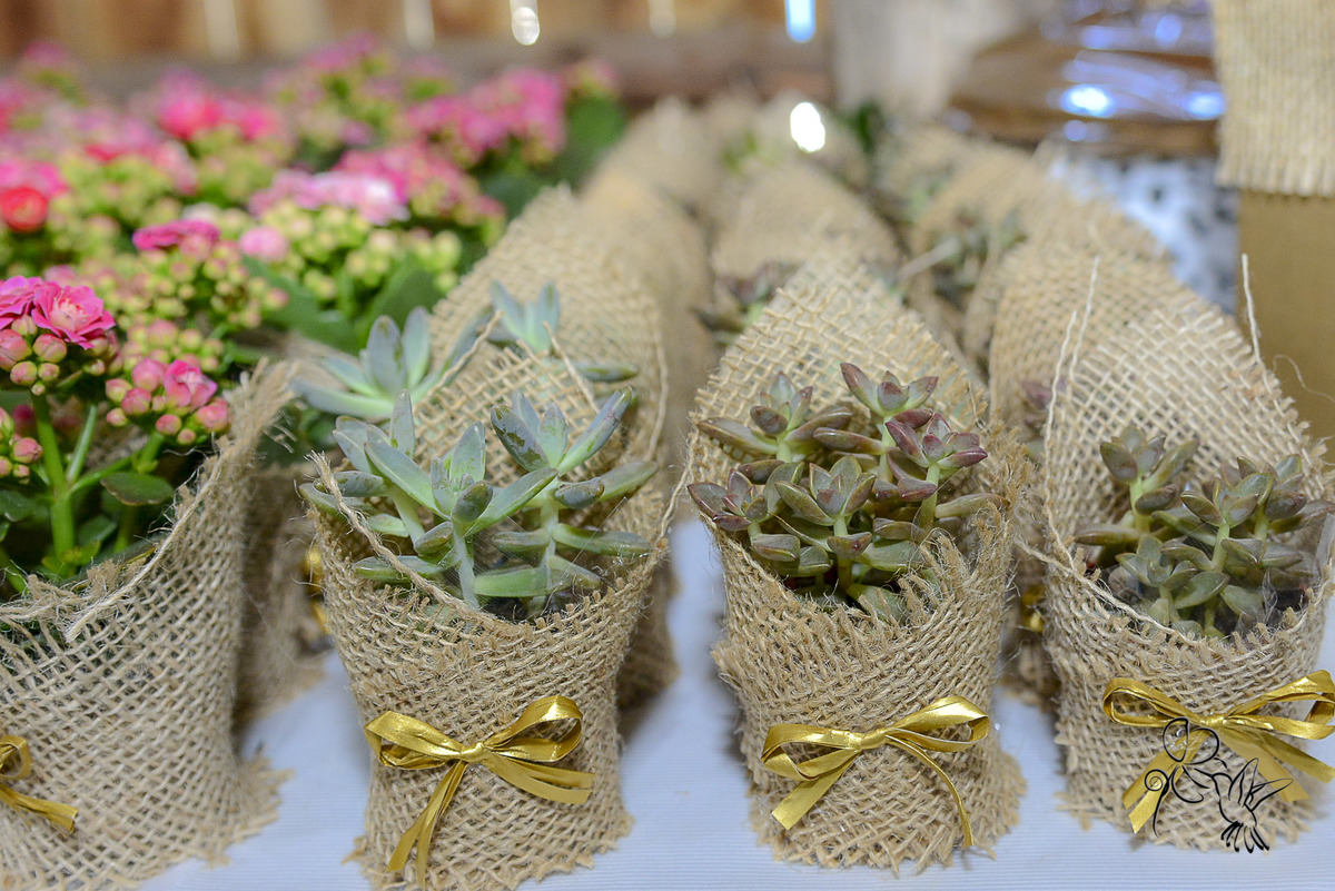 pequenos vasos de flores dados como lembranças, clique de by Eli Matos