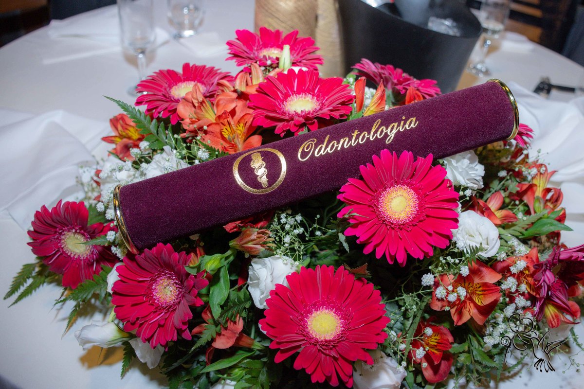 Flores vermelhas e brancas e canudo de formatura em odontologia, by Eli Matos viu a cena