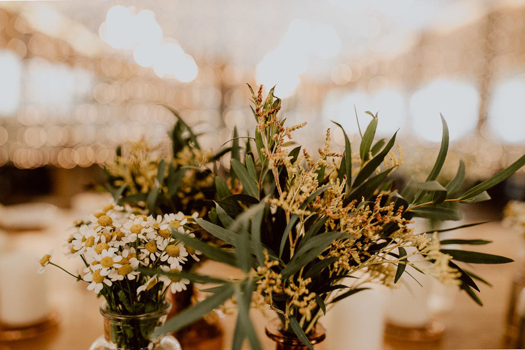 fotógrafo casamentos