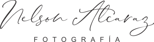 Logotipo de Nelson Alcaraz 