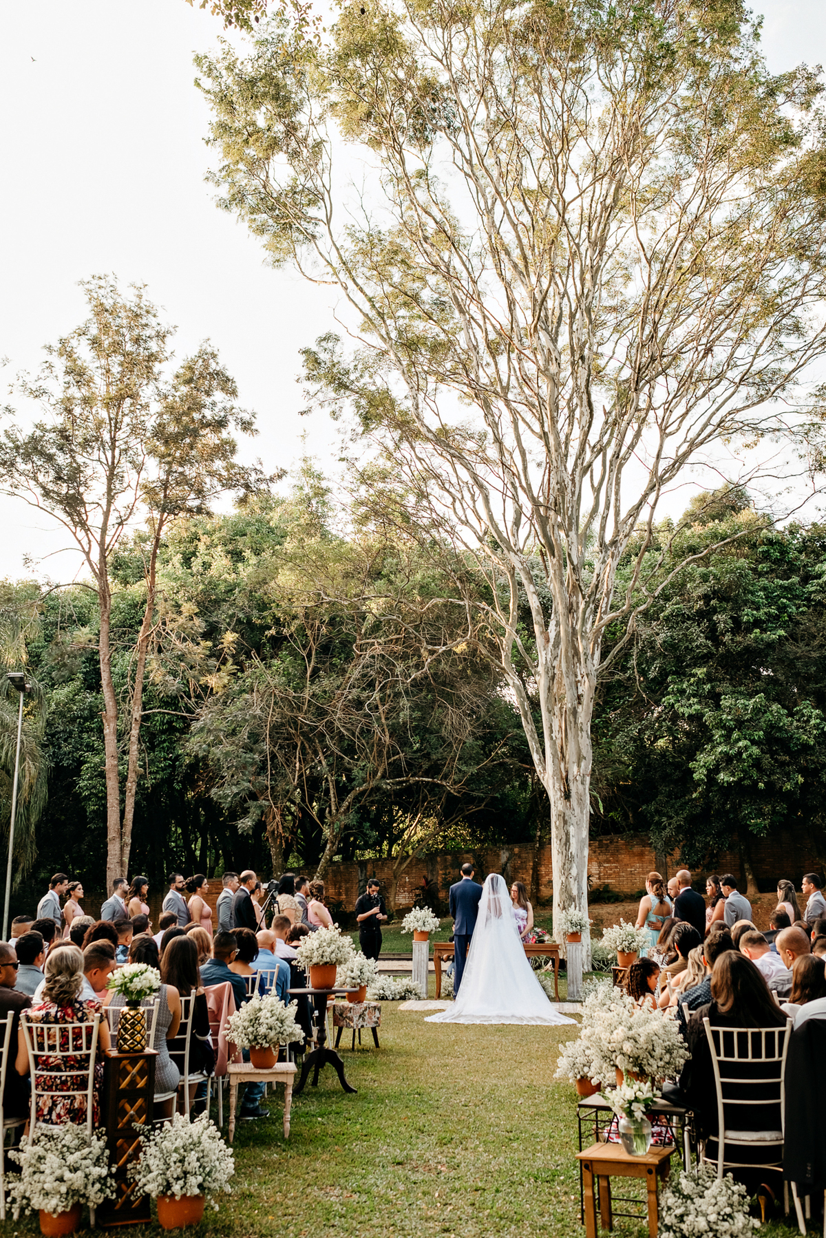 Casamento de dia, no campo na quinta das bromélias em Campinas, Fotografo Anderson Barboza - Taubaté-SP