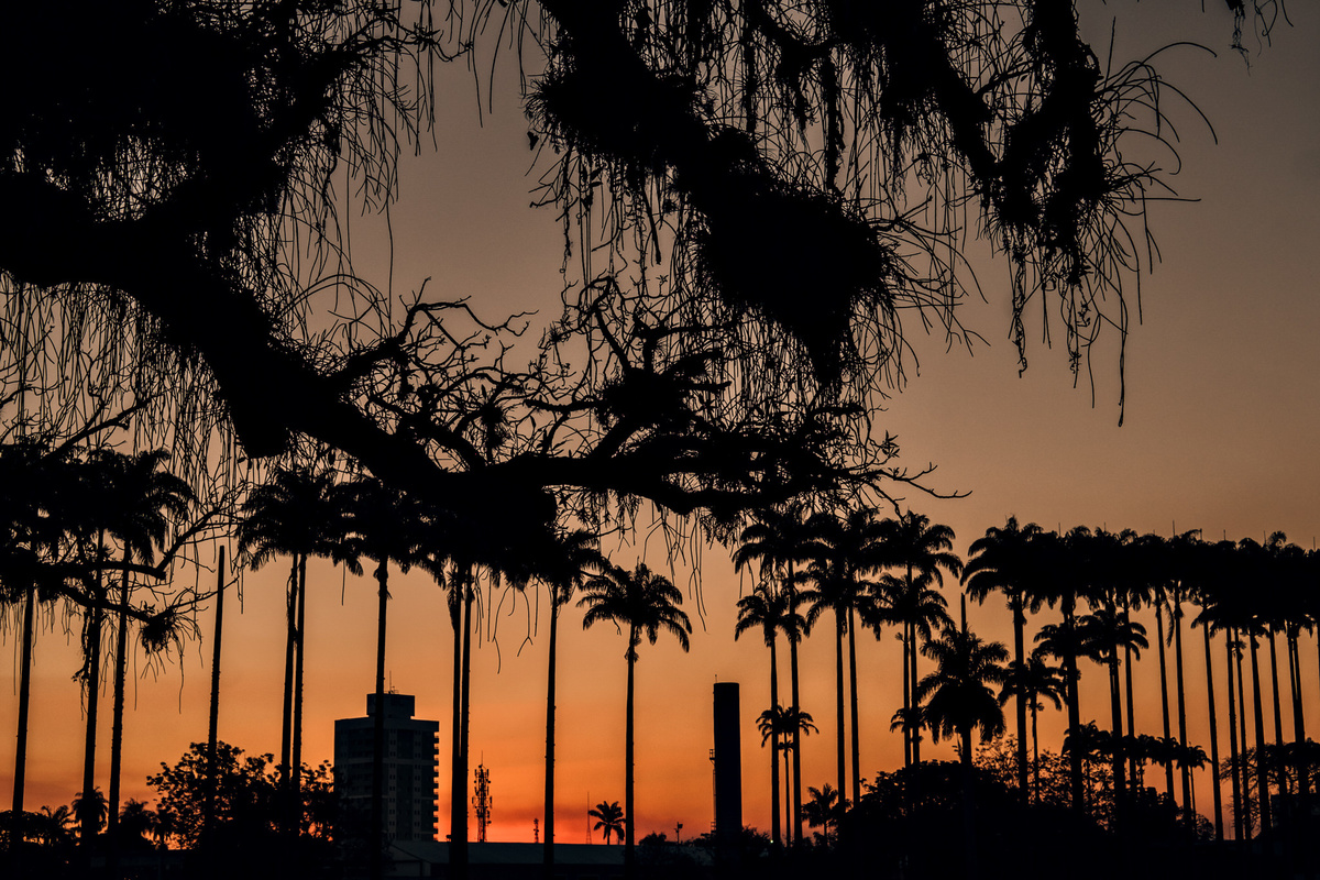 Ensaio de Casal - Fim de tarde no campo - Parque da cidade - Fotógrafo Anderson Barboza - Taubaté SP