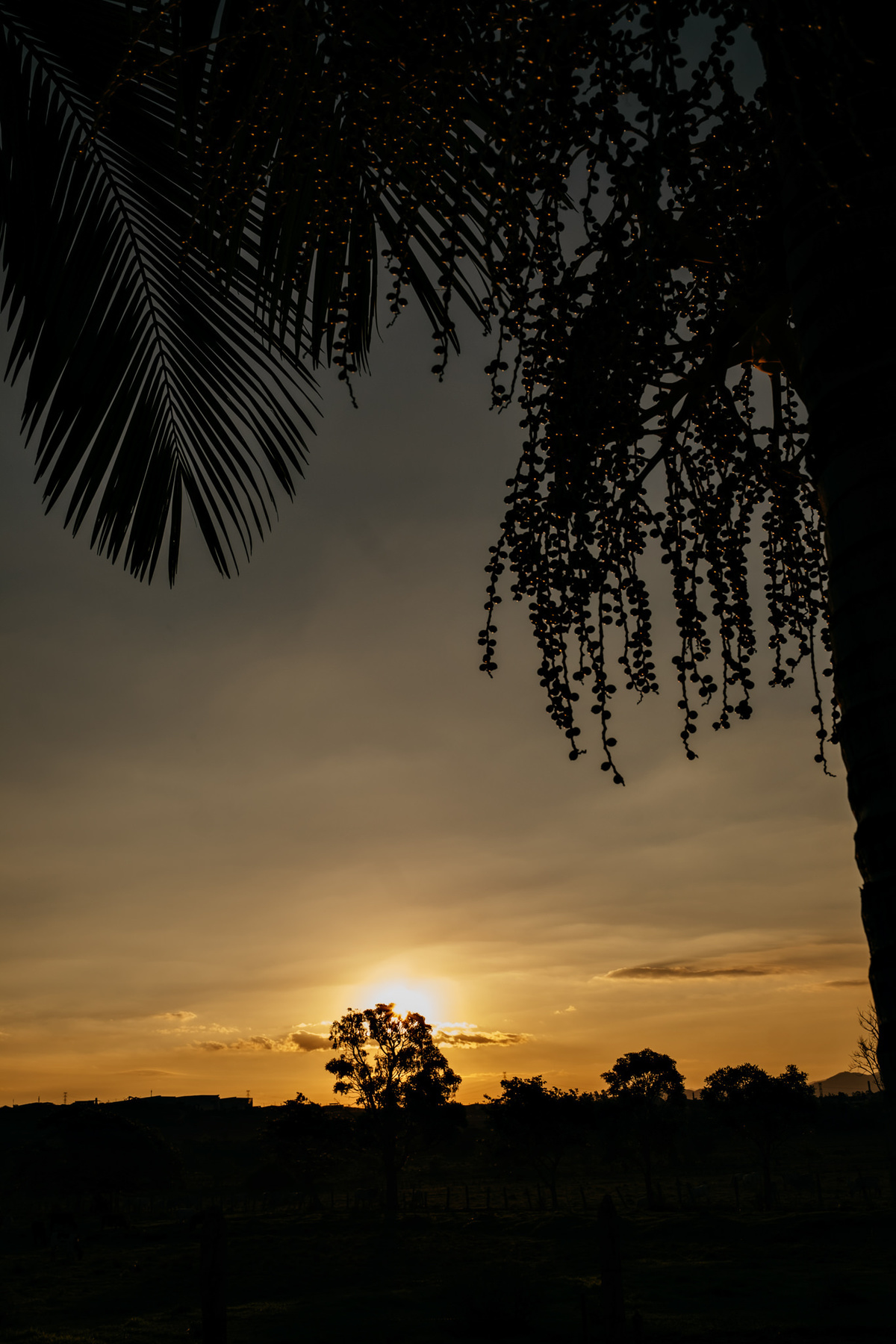 casamento no espaço moenda em Pindamonhangaba, no campo fim de tarde. Anderson Barboza Fotografia. Taubaté-SP