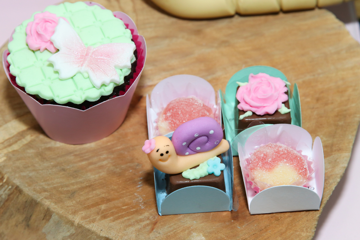 fotografo-casamento-fotos-noivos-noivas-sessão pré casamento-noivado-noivas limeira-infantil-aniversario-15 anos-filmagem