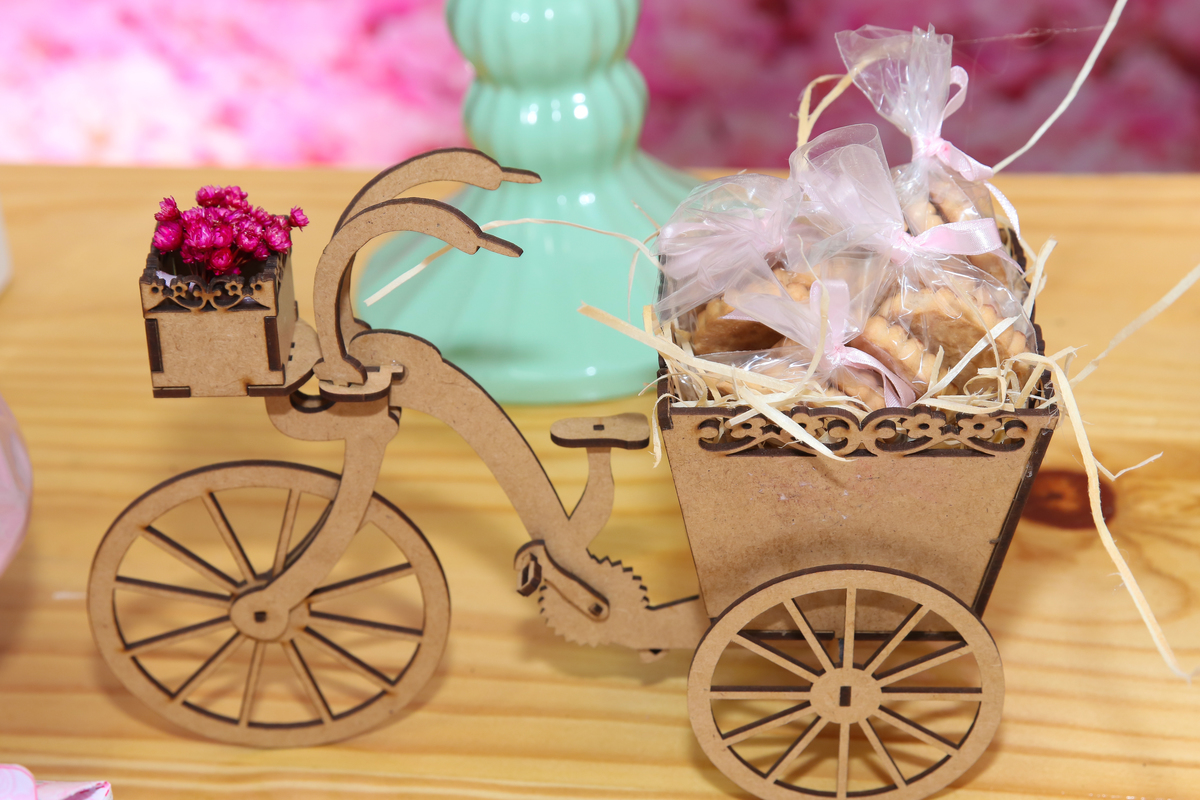 fotografo-casamento-fotos-noivos-noivas-sessão pré casamento-noivado-noivas limeira-infantil-aniversario-15 anos-filmagem