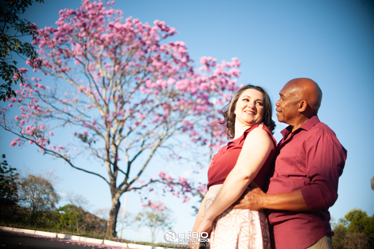 ensaio de casal Renata e Elias  - pre-wedding Renata e Elias - Alegria  - ipê rosa no eixão de brasília   - flores  - fundo verde  - casamento