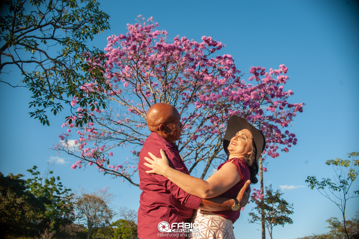 ensaio de casal Renata e Elias  - pre-wedding Renata e Elias - Alegria  - ipê rosa no eixão de brasília   - flores  - fundo verde  - casamento