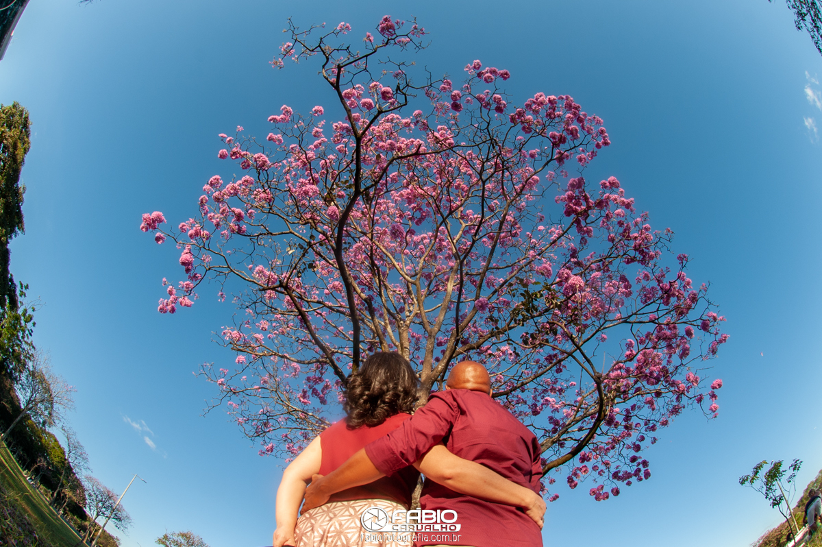 ensaio de casal Renata e Elias  - pre-wedding Renata e Elias - Alegria  - ipê rosa no eixão de brasília   - flores  - fundo verde  - casamento