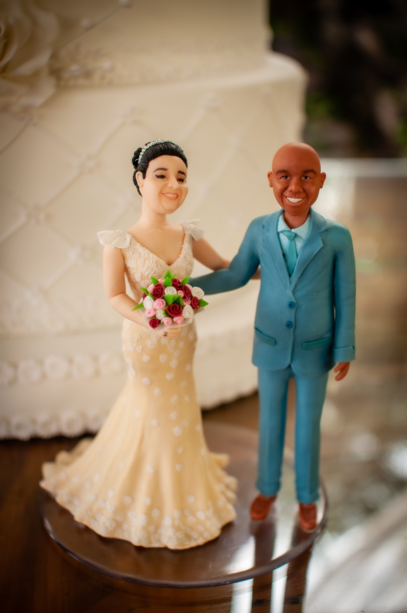 casamento - renata e elias - spazio grand jardin - casamento ao ar livre  -  casamento rustico - casamento no gama - casamento  de terno azul  - casamento de pessoas de mais idade  - 