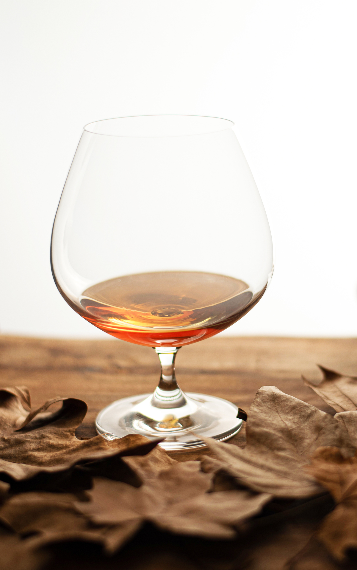 Conceptual photograph. Cognac bowl and autumn - Curitiba - Studio Photography