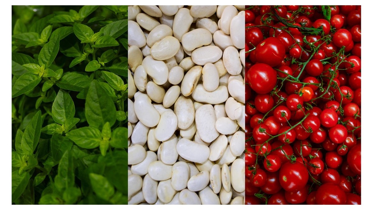 Conceptual photograph. Italian flag with basil, white beans and tomatoes