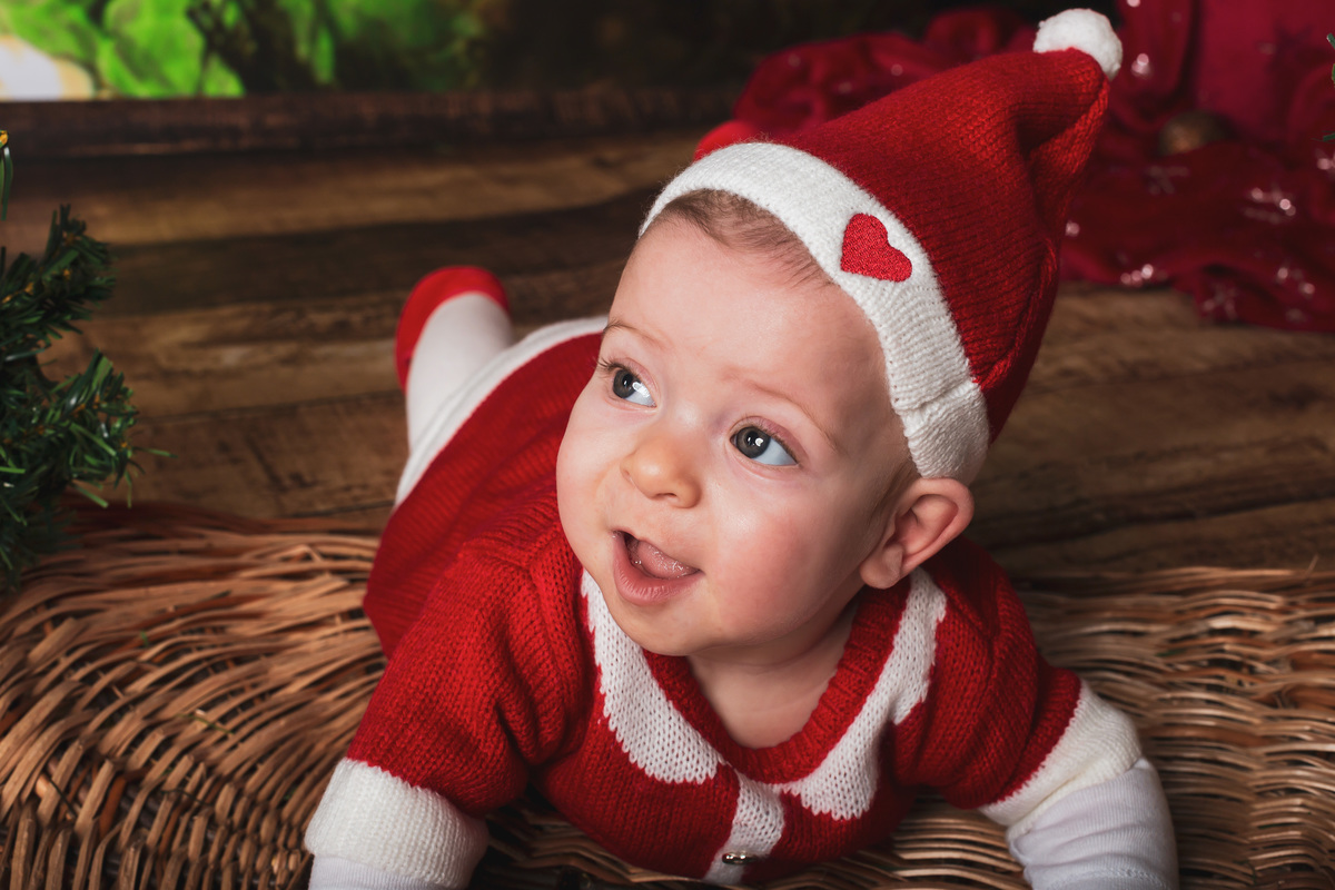 Margarida no cesto no estúdio