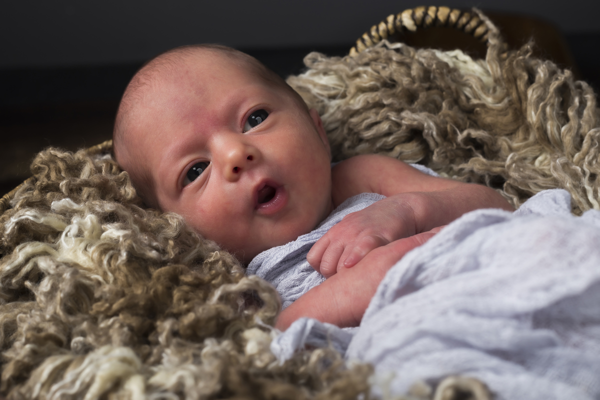 Sessão fotográfica a recém-nascido em Vale de Cambra