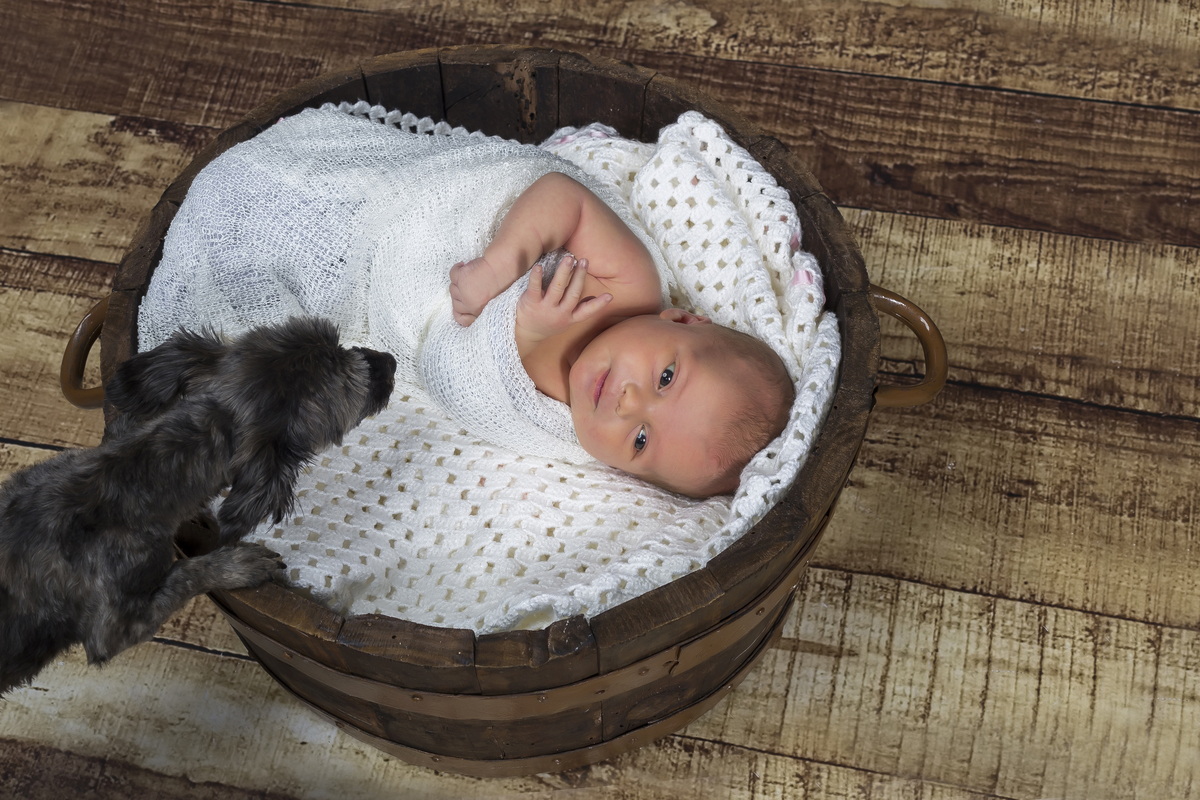 Bebé na sessão fotográfica